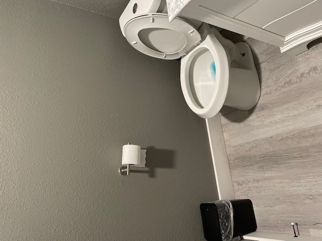 Professional bathroom cleaning Alexandria